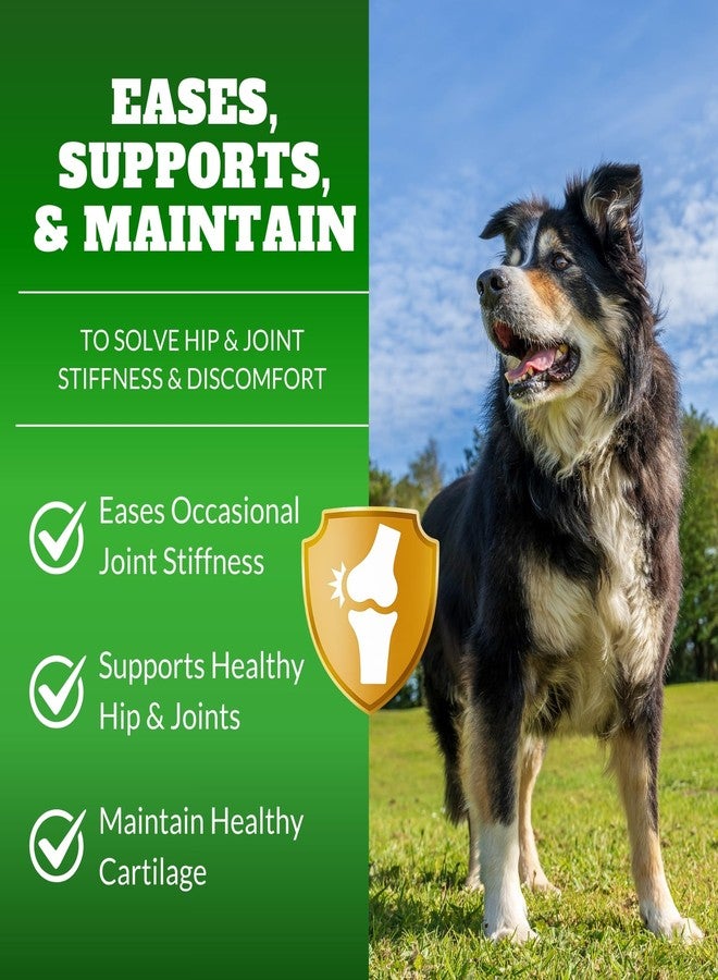 DRMOIS Dog Hip & Joint Supplement Chews with Glucosamine & Chondroitin – Joint Support for Senior & Large Breed Dogs, Helps Mobility & Flexibility – 120 Ct - Image 2