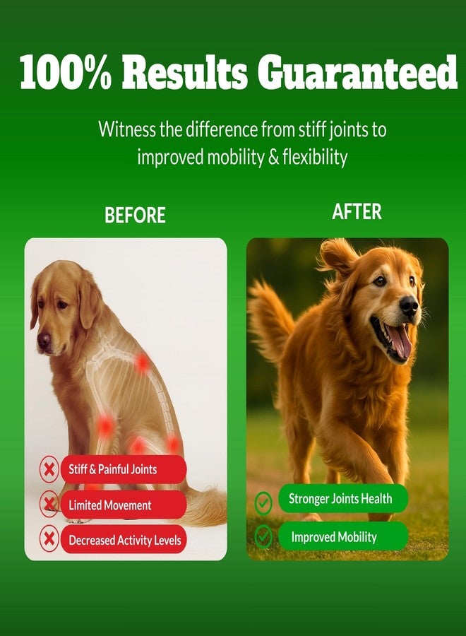 DRMOIS Dog Hip & Joint Supplement Chews with Glucosamine & Chondroitin – Joint Support for Senior & Large Breed Dogs, Helps Mobility & Flexibility – 120 Ct - Image 4