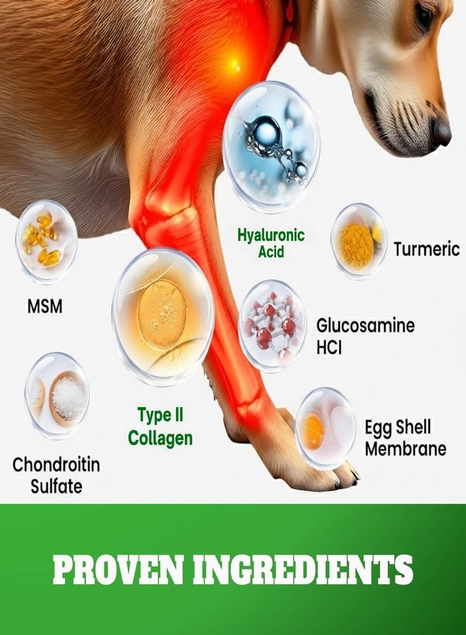 DRMOIS Dog Hip & Joint Supplement Chews with Glucosamine & Chondroitin – Joint Support for Senior & Large Breed Dogs, Helps Mobility & Flexibility – 120 Ct - Image 3