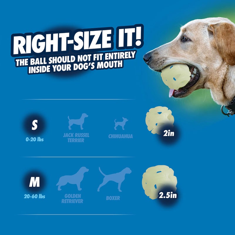 Chuckit! Air Glow Fetch Ball Dog Toy, Medium (2.5 Inch) Pack of 2, for Breeds 20-60 lbs - Image 4