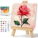 Offito Framed Paint by Numbers Kit for Adults Beginners Kids Ages 812 Rose Flower Acrylic Easy Paint by Number with Frame Paint by Number Kits on Canvas Framed 10 10 Inch Without Easel - Image 2