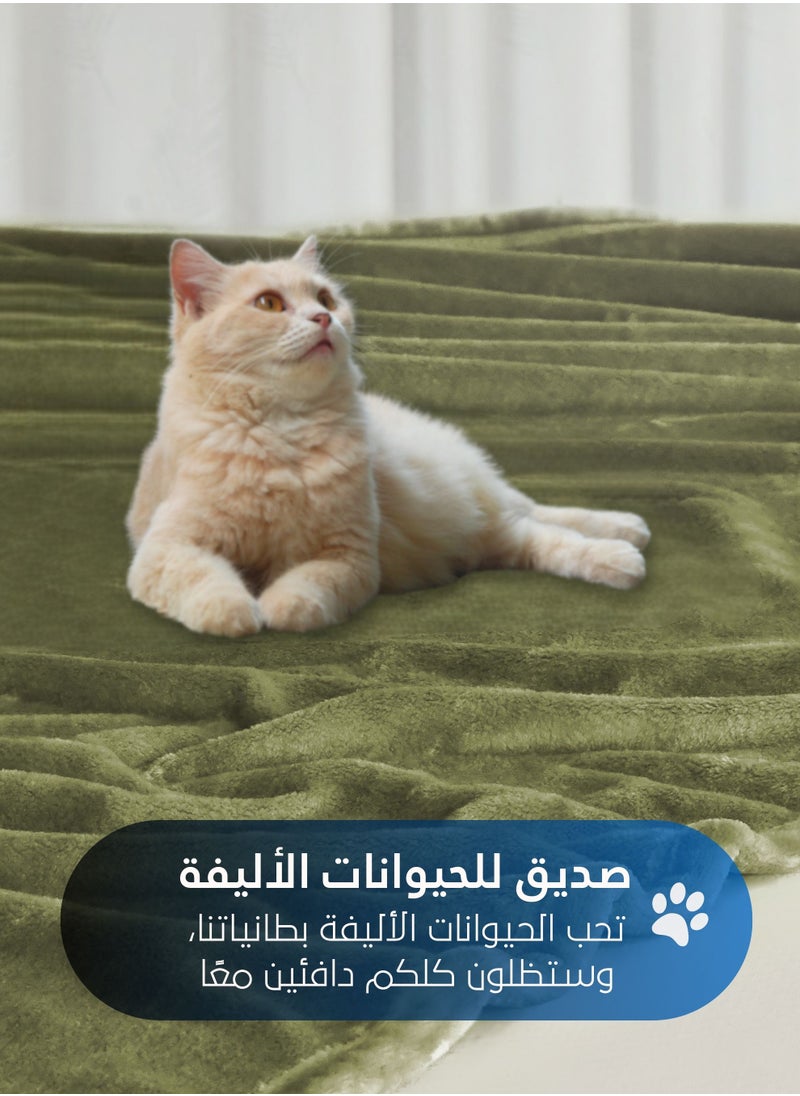 سيد المنسوجات المنزلية - بطانية مخمل خفيفه بمقاس مزدوج، سلسلة مورا، 350 جم/متر مربع، 260 × 240 سم، صوف إضافي فائق النعومة لجميع فصول السنة، يستخدم كغطاء للسرير بطانيات . - Image 1