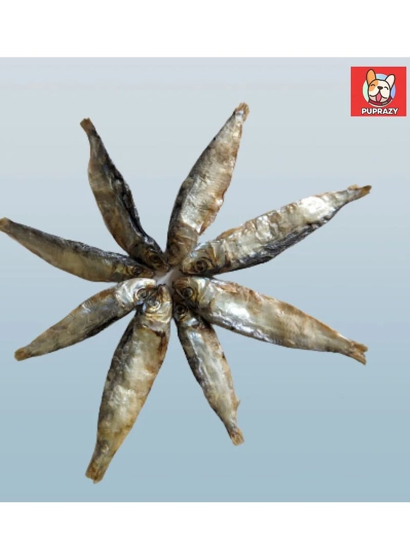 PUPRAZY Dried sardine fish natural, single ingredient treat for cats and dogs(70g) - Image 2