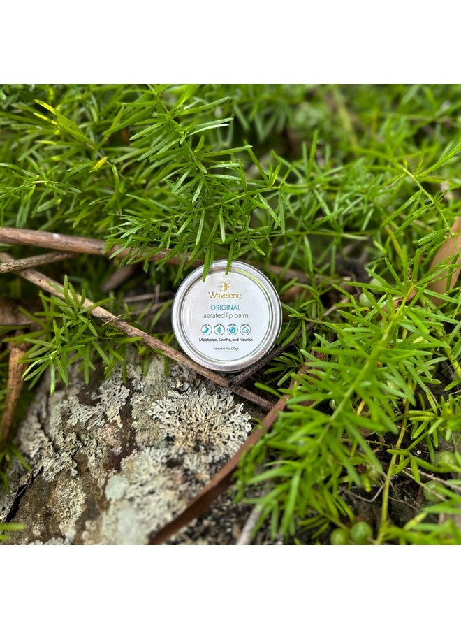 Waxelene Original Aerated Lip Balm Tin Best Lip Balm Ever Organic Calming Multipurpose Ointment Baby Eczema Dry Sensitive Skin Body Face Moisturizer - Image 3