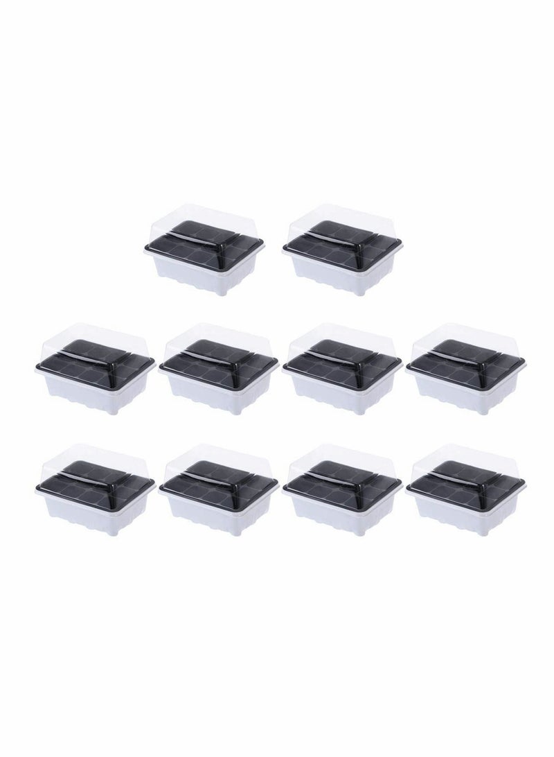 Barakah pack of 10 seed sprouting trays-germination trays-planting seedling trays-crop cultivation trays-healthy wheat grower (12 germination boxes) - Image 1