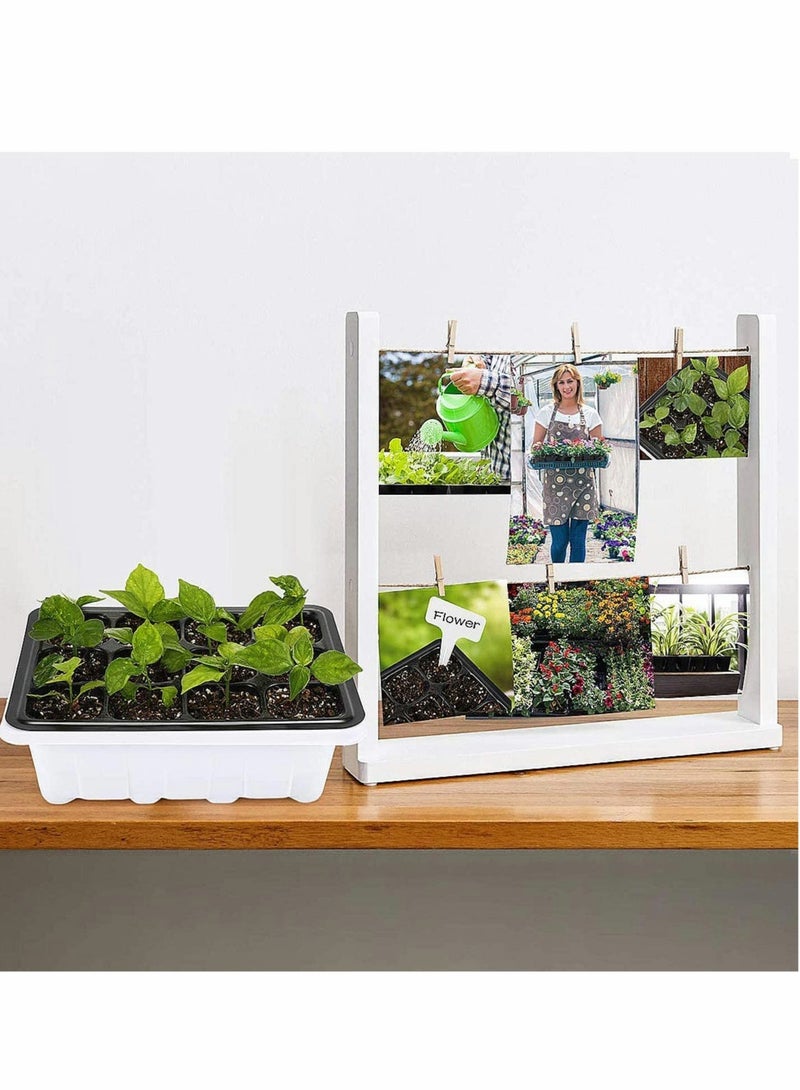 Barakah pack of 10 seed sprouting trays-germination trays-planting seedling trays-crop cultivation trays-healthy wheat grower (12 germination boxes) - Image 2