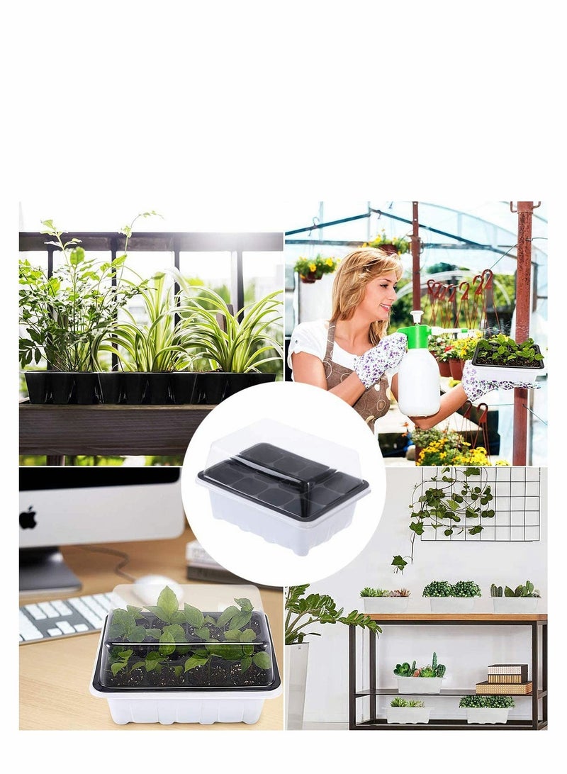 Barakah pack of 10 seed sprouting trays-germination trays-planting seedling trays-crop cultivation trays-healthy wheat grower (12 germination boxes) - Image 4