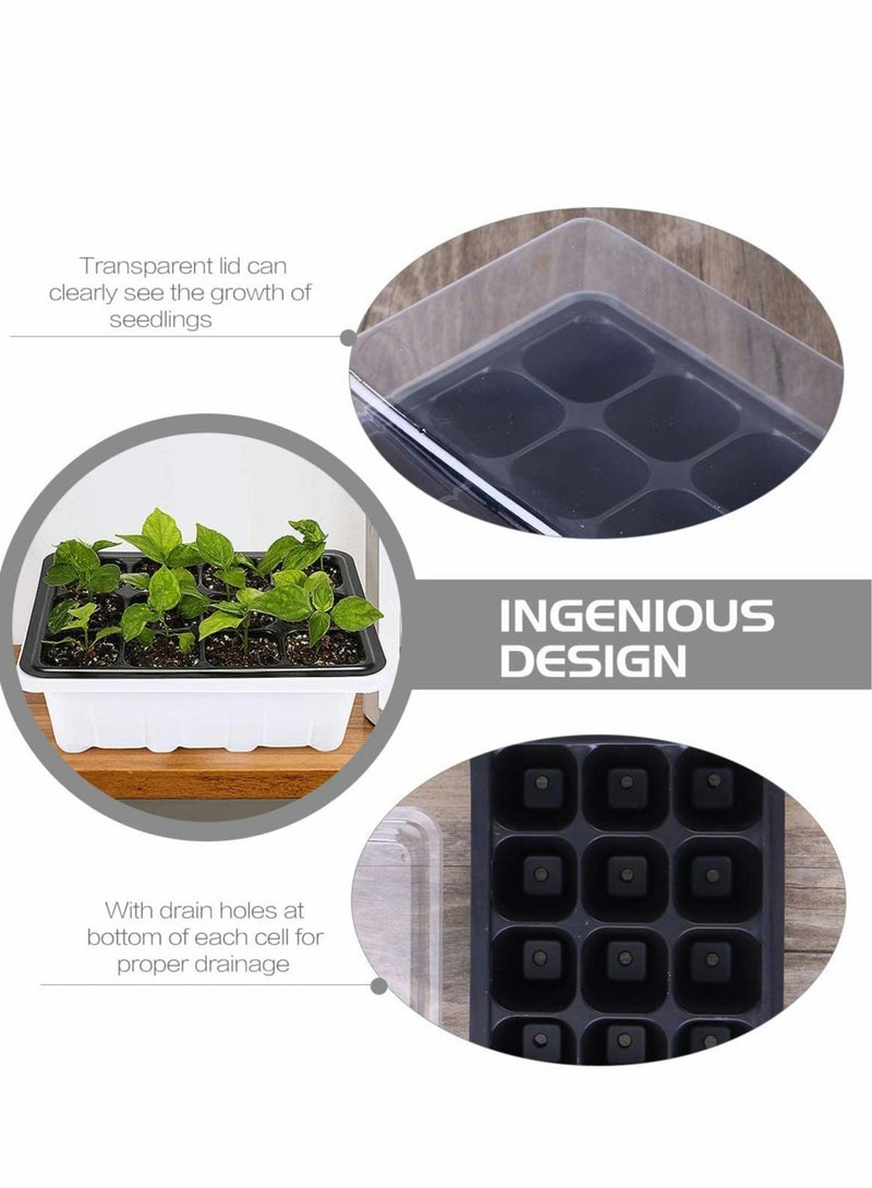 Barakah pack of 10 seed sprouting trays-germination trays-planting seedling trays-crop cultivation trays-healthy wheat grower (12 germination boxes) - Image 5