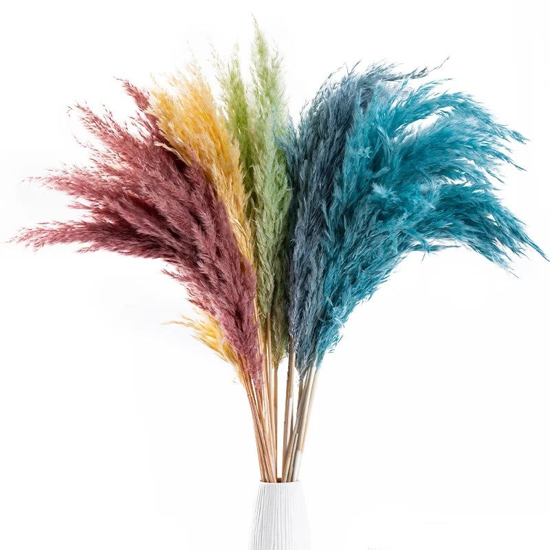 Bluejw Premium Dried Pampas Grass Reed Decor - Natural Tall Fluffy Plumes - Perfect for Home, Wedding & Boho Decorations - High Quality Dried Plants Supply - Image 2