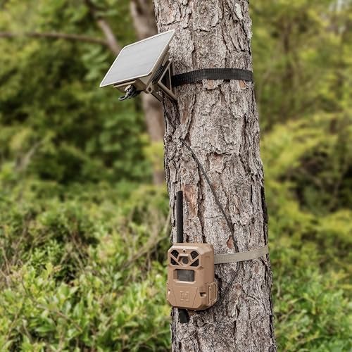 Moultrie Edge 2 Pro Cellular Trail Camera - Auto Connect Nationwide 4G LTE - On Demand 40MP Photo - 1440P Video with HD Audio - Ai False Trigger Elimination - 100 Ft Detection Range - No-Glow Flash - Image 2