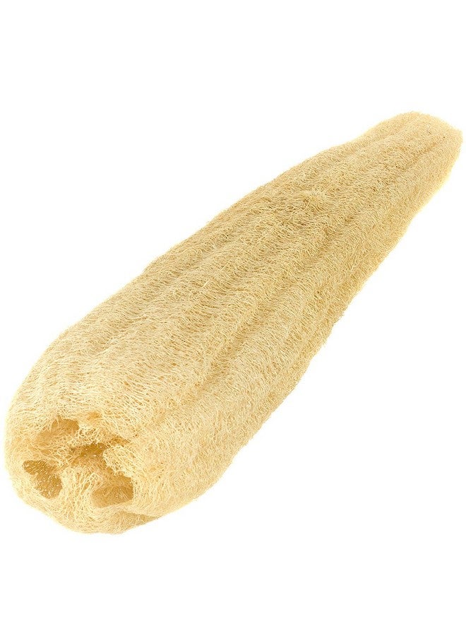 Blue Hut Sponges Natural Body Scrubber (Brown, 0.5 Quart)