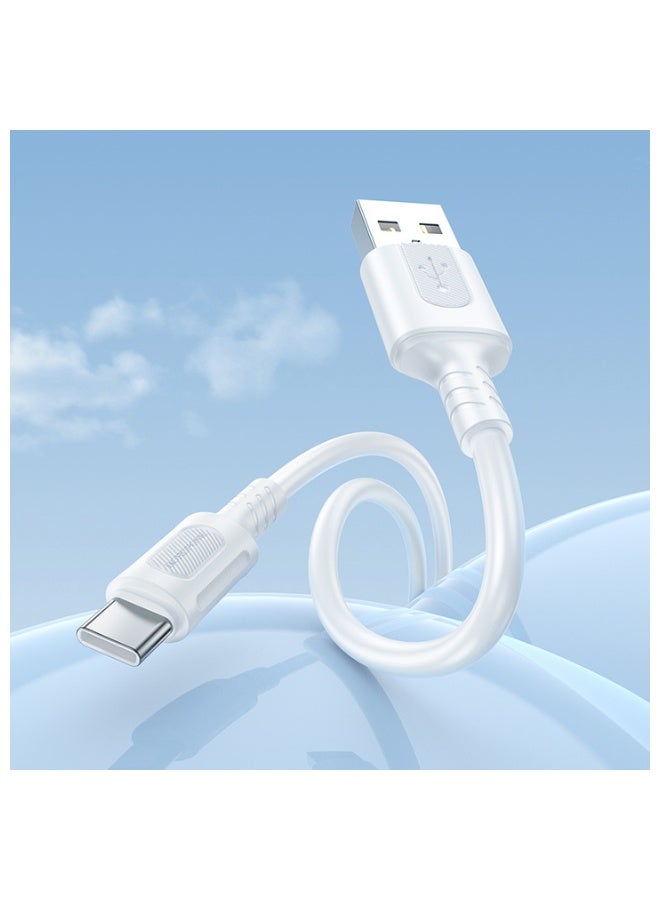 بوروفون Borofone Cable BX111 Feliz - USB to Type C - 3A 1 metre white - Image 3