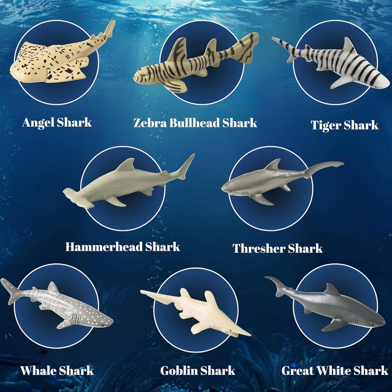 U.S. Toy Shark Animals Set - 12 Realistic Plastic Shark Figures for Kids - Image 4
