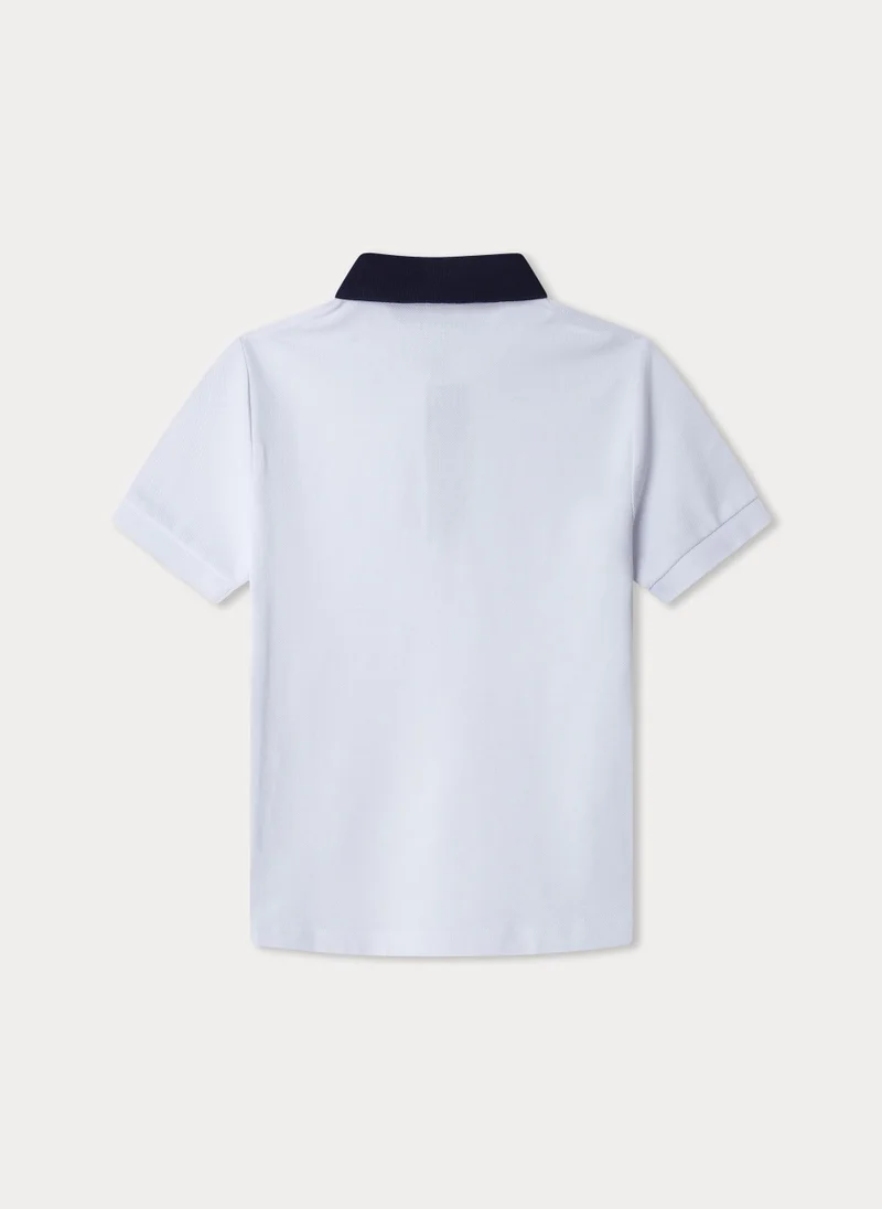 Hackett STRIPE COLLAR POLO