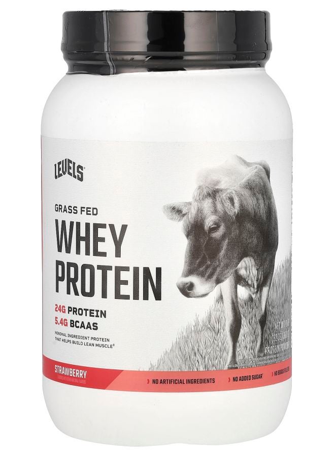 Level مسحوق بروتين مصل اللبن من حليب العشب بنكهة الفراولة 2 رطل (907 جرام)
