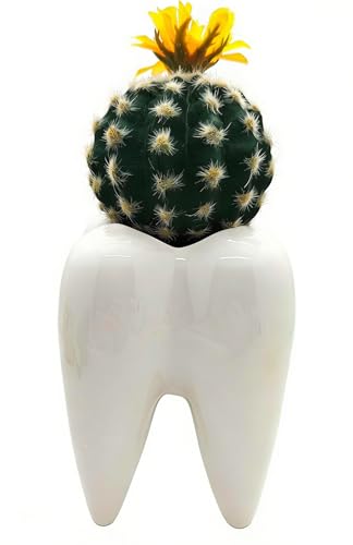 MONMOB 6" Ceramic Tooth Shaped Pen Holder Toothbrush Holder Tooth Succulent Plant Pot Home Office School Dentists Gift - Image 2