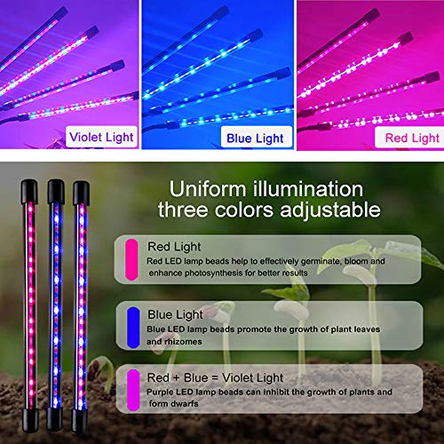 Protomont TECHNOLOGIES Led Grow Light, Indoor Plant Lights Uv Plant Light Full Spectrum Small Grow Lamp 3/9/12H Auto On/Off Timer And Dimmable Levels For House Garden Hydroponics Succulent, Red - Image 5
