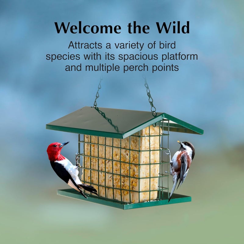 CS EZ Fill Deluxe Suet and Snak Feeder with Roof & Platform, Suet Feeder for Wild Birds, Holds one 56 Ounce Suet Cake - Image 2