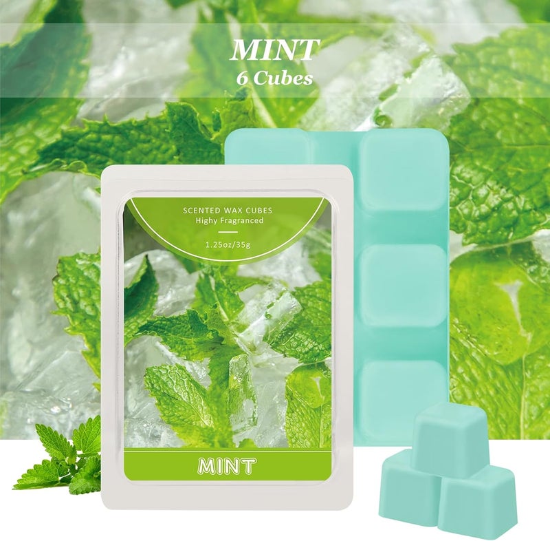 STRN Wax Melts, Mint Scented Soy Wax 4 Packs, Long-Lasting Home Fragrance Scented Wax Cubes for Warmers, for Bedroom, Living Room, Bathroom, Office (4 x 1.25 oz) - Image 2