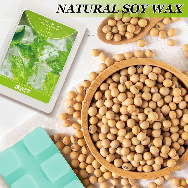 STRN Wax Melts, Mint Scented Soy Wax 4 Packs, Long-Lasting Home Fragrance Scented Wax Cubes for Warmers, for Bedroom, Living Room, Bathroom, Office (4 x 1.25 oz) - Image 4