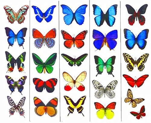 Butterfly Utopia Colorful Temporary Butterfly Tattoos 5 Sheets by Butterfly Utopia - Image 2