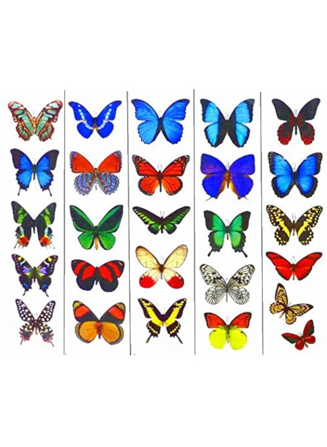 Butterfly Utopia Colorful Temporary Butterfly Tattoos 5 Sheets by Butterfly Utopia - Image 3