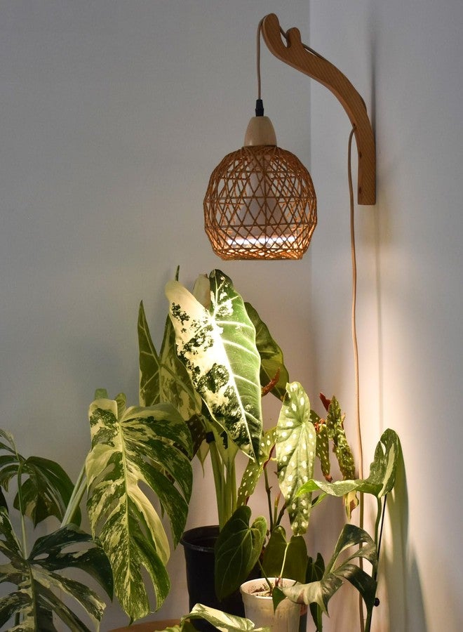 Bstrip Hanging Grow Lights for Indoor Plants, 18W Full Spectrum, Boho Rattan Lantern Shade, 3800K Wall-Mounted Decorative Plant Light with 9.8FT Power Cord, Ideal for Tall Plants, Flowers - Image 1