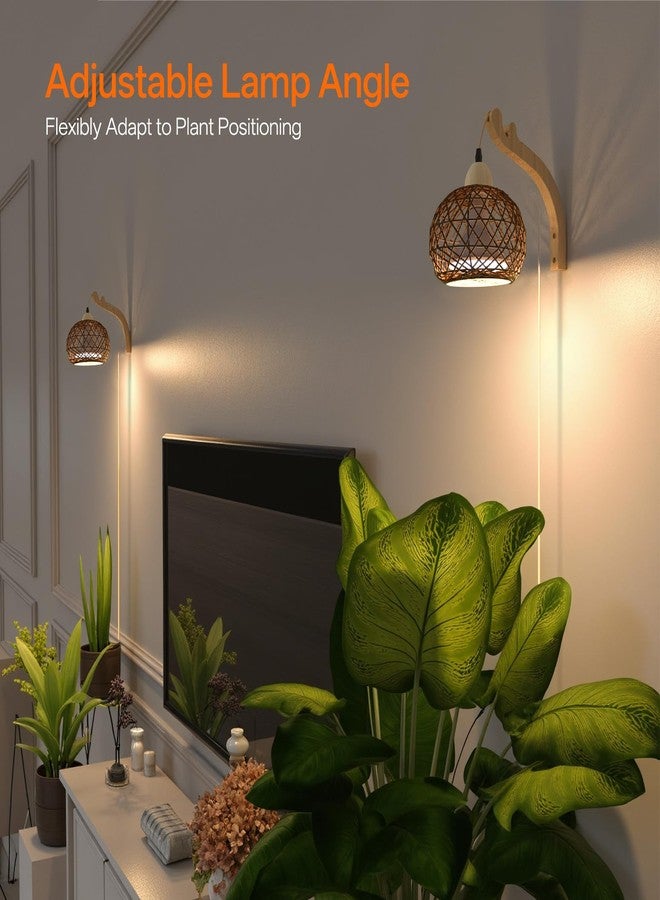 Bstrip Hanging Grow Lights for Indoor Plants, 18W Full Spectrum, Boho Rattan Lantern Shade, 3800K Wall-Mounted Decorative Plant Light with 9.8FT Power Cord, Ideal for Tall Plants, Flowers - Image 4