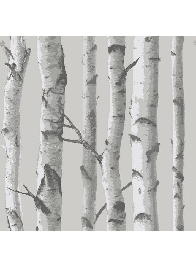 نو وولبيبر ورق جدران قابل للتقشير واللصق من خشب البتولا الجبلي Nu1694، رمادي - Image 1