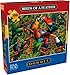 Buffalo Games Eric Dowdle Birds of a Feather 300 Piece Jigsaw Puzzle for Adults Challenging Puzzle Perfect for Game Nights Finished Size is 2125 x 1500 - Image 2