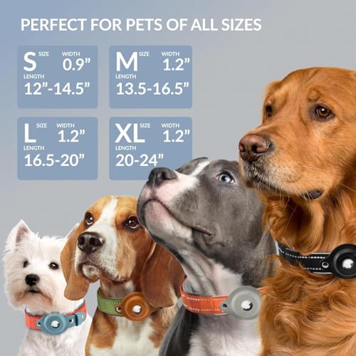 CollarDirect Airtag Dog Collar Reflective Nylon Neoprene Leather Holder for Apple Air Tag for Large, Medium, and Small Dogs (Black, S, 12-14.5 Inch) - Image 2