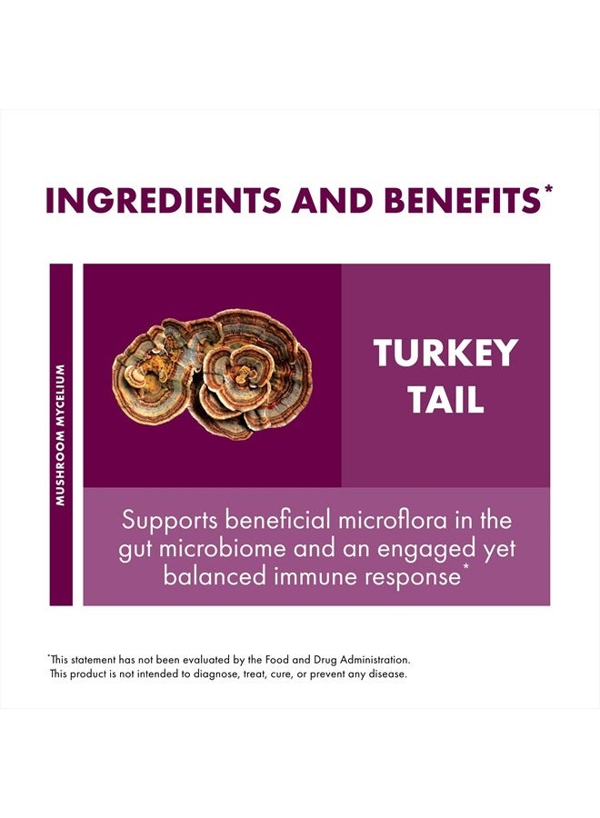 Host Defense Turkey Tail Extract - Digestive Health & Immune Response Support Supplement - Mushroom Supplement for Gastrointestinal & Gut Microbiome Support - 2 fl oz (60 Servings)* - Image 4