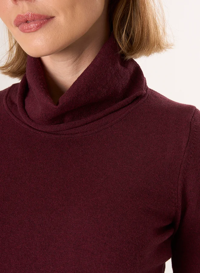 FELIX HARDY Turtleneck Pullover