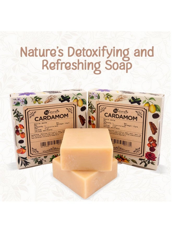 Naturalis صابون زيت الهيل الطبيعي - صابون يدوي الصنع بارد الضغط مع الهيل العضوي، خالي من المواد الكيميائية القاسية - تنظيف عميق، ترطيب، ورائحة منعشة، 100 جرام - Image 4