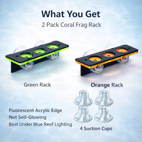 kcrygogo Coral Frag Holder Acrylic Coral Rack with Powerful Double Suction Cup and Placstic Screws Suitable for Household Fish Tanks (2pcs 3 Plug Hole,Fluorescent Green and Orange) - Image 4