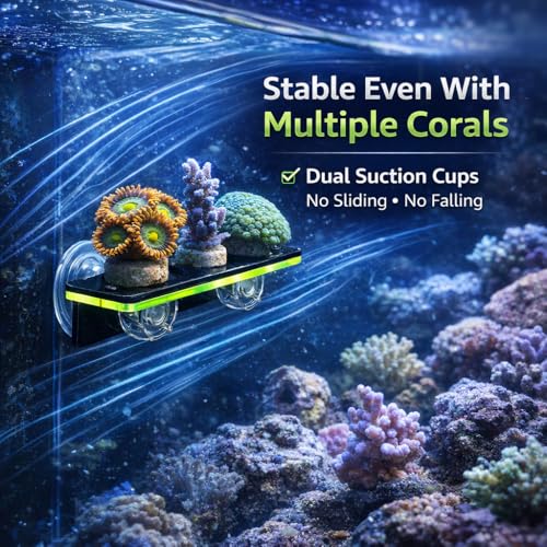 kcrygogo Coral Frag Holder Acrylic Coral Rack with Powerful Double Suction Cup and Placstic Screws Suitable for Household Fish Tanks (2pcs 3 Plug Hole,Fluorescent Green and Orange) - Image 5
