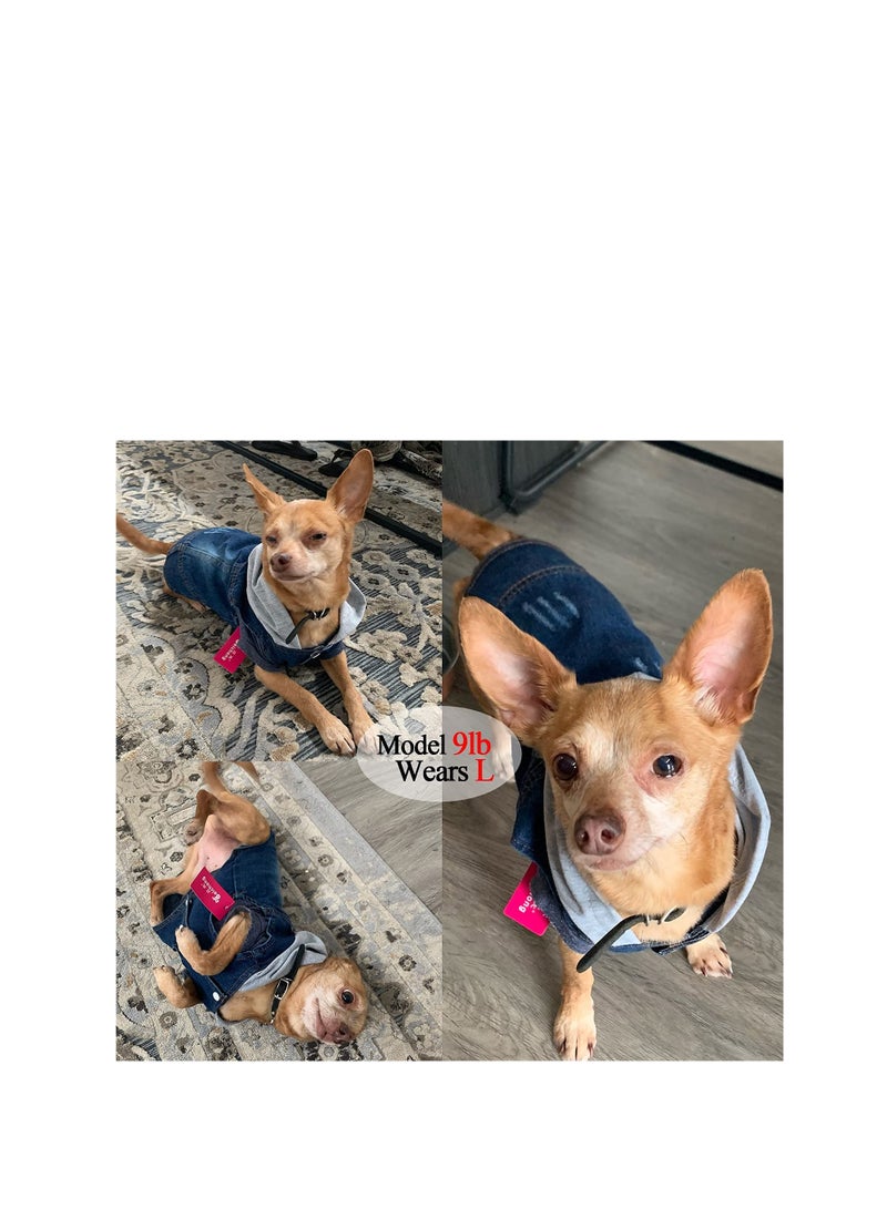 SYOSI ملابس الحيوانات الأليفة للكلاب، سترة جينز رائعة للكلاب، معطف هودي دنيم أزرق رائع، ملابس للكلاب والقطط، تي شيرت كلاسيكي للكلاب، ملابس للجراء، قميص زي L - Image 2