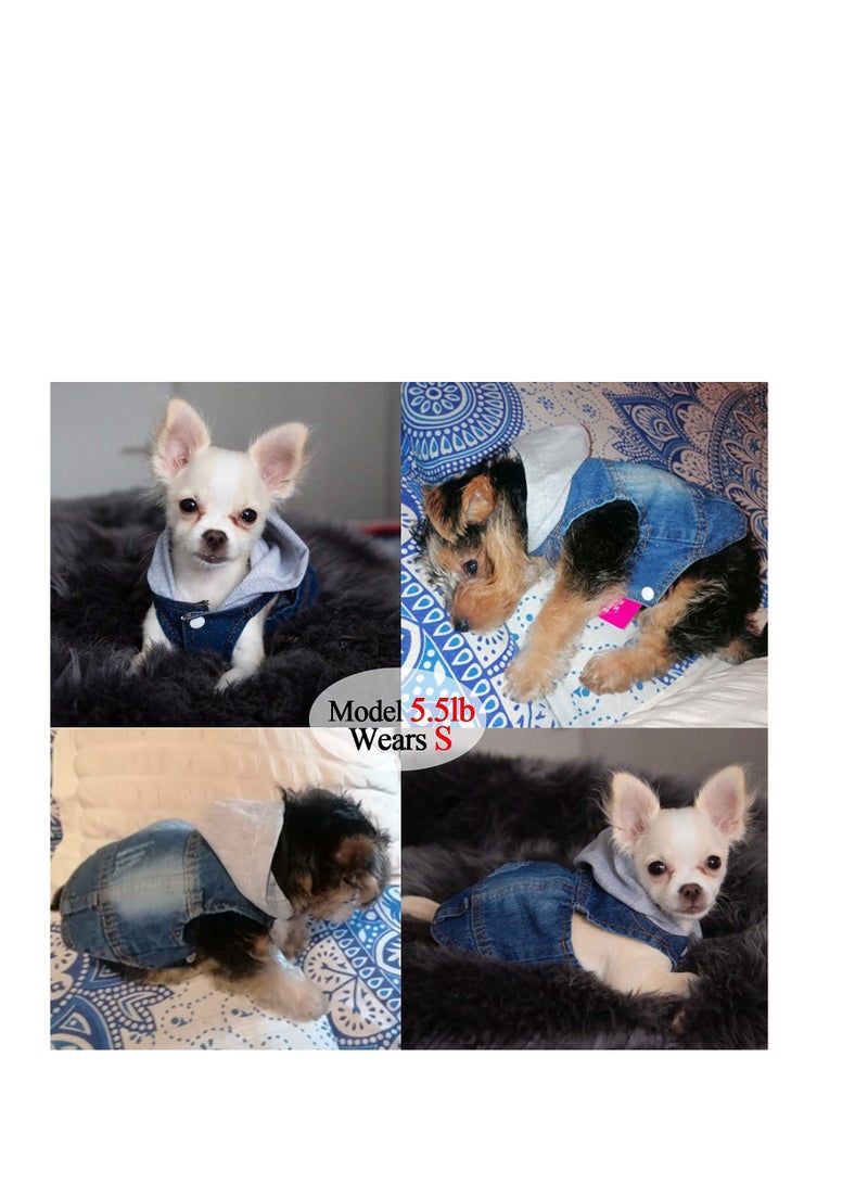 SYOSI ملابس الحيوانات الأليفة للكلاب، سترة جينز رائعة للكلاب، معطف هودي دنيم أزرق رائع، ملابس للكلاب والقطط، تي شيرت كلاسيكي للكلاب، ملابس للجراء، قميص زي L - Image 4