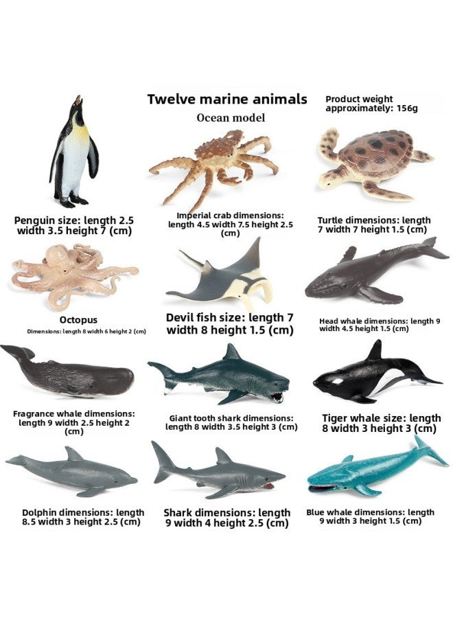 Simulation Marine Animal Solid Model Toy Whale Underwater World Moby Dick Child Cognition Shark Dolphin Seal
