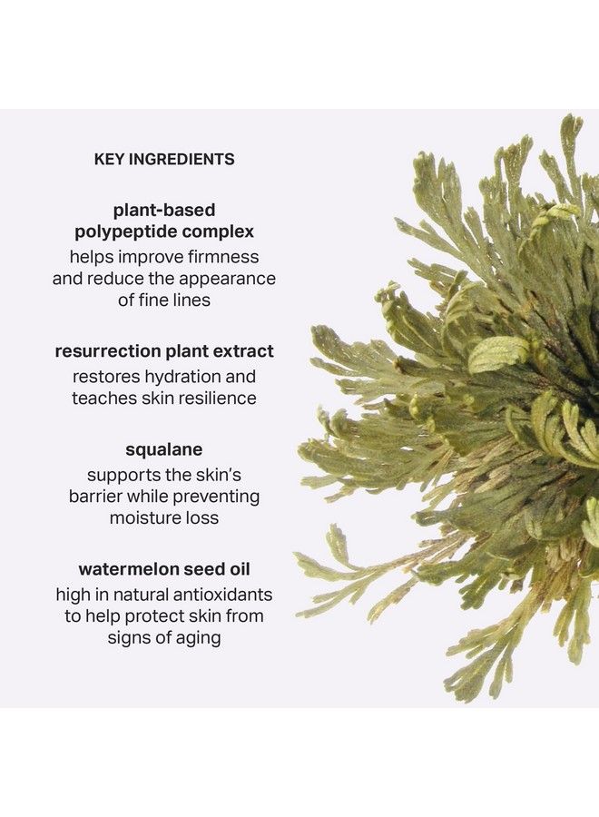 Cocokind Resurrection Polypeptide Cream Hydrating Face Moisturizer With Peptides And Squalane Anti Aging Skin Barrier Repair Cream For Dry Skin - Image 4