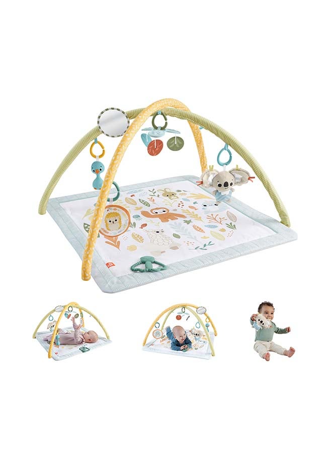 Fisher-Price سجادة لعب الأطفال ببساطة الحواس صالة رياضية للمواليد مع موبايل وألعاب حسية للعب التطوري للأعمار من 0+ أشهر - Image 1