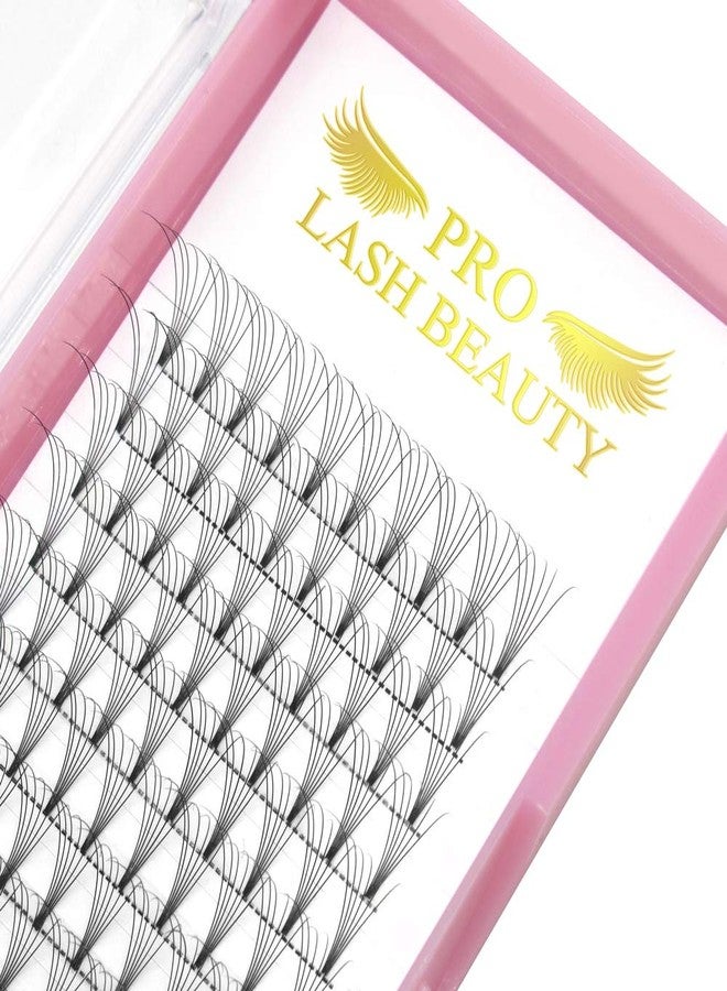 PRO LASHBEAUTY Premade Fans Eyelash Extensions 6D-D-0.10-12 Short Stem Premade Volume Eyelash Extensions .07 .10 C D Curl Pre made Lash Fans 9 to 20 mm Volume Lash Extensions (6D-D-0.10,12mm) - Image 1