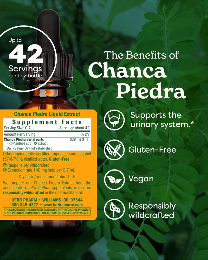 HERB PHARM مستخلص سائل من عشب فارم تشانكا بيدرا لدعم الجهاز البولي، 1 فل أونصة - Image 2