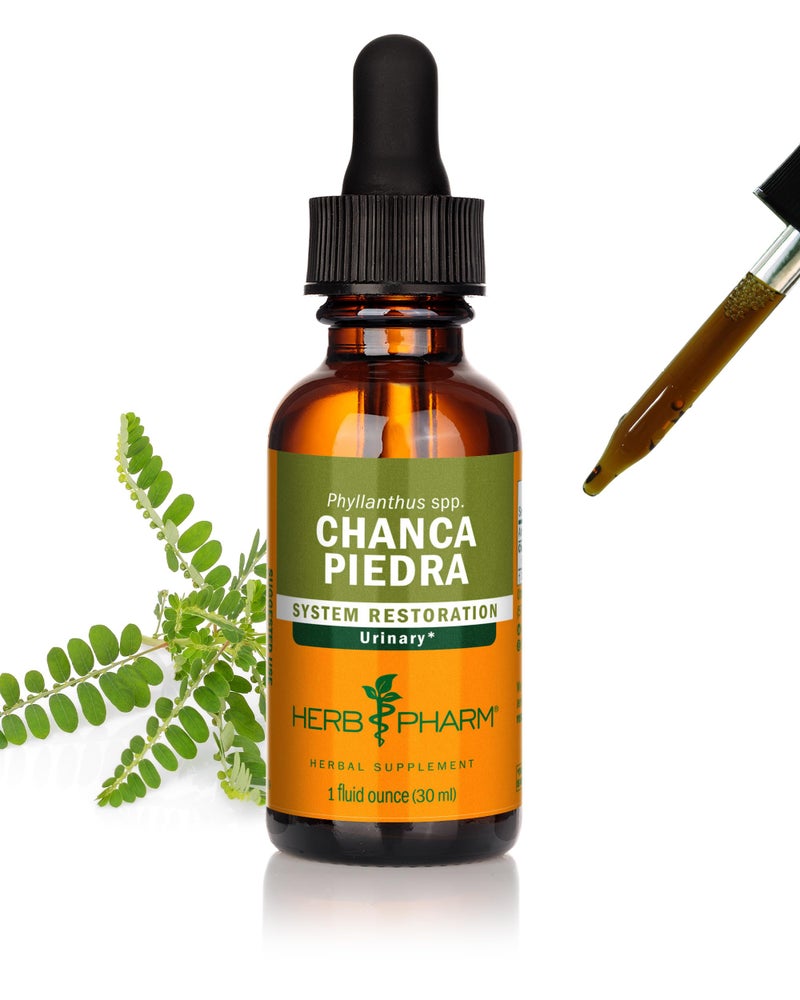 HERB PHARM مستخلص سائل من عشب فارم تشانكا بيدرا لدعم الجهاز البولي، 1 فل أونصة - Image 1