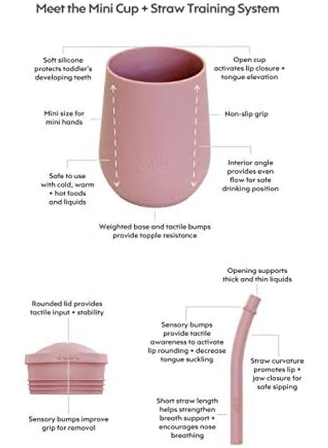 ازبيز كوب صغير بالإضافة إلى نظام تدريب من القش، كوب تدريب من السيليكون بنسبة 100% للرضع والأطفال الصغار، مصمم بواسطة متخصص في تغذية الأطفال بعمر 9 أشهر إضافية - Image 2
