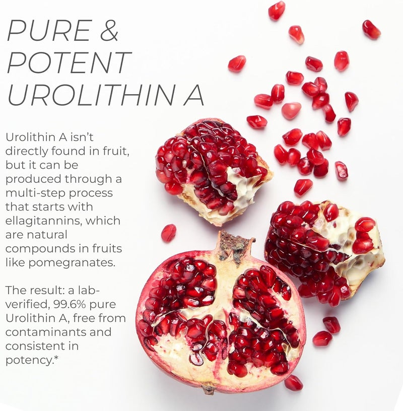 Neurogan كبسولات مكملات يوروليثين أ من نيوروجان 700 ملغ 60 حبة مركب بوستبايوتيك عالي الفعالية لصحة الخلايا مستخرج من الرمان صنع في الولايات المتحدة خذ 1 يوميًا - Image 5