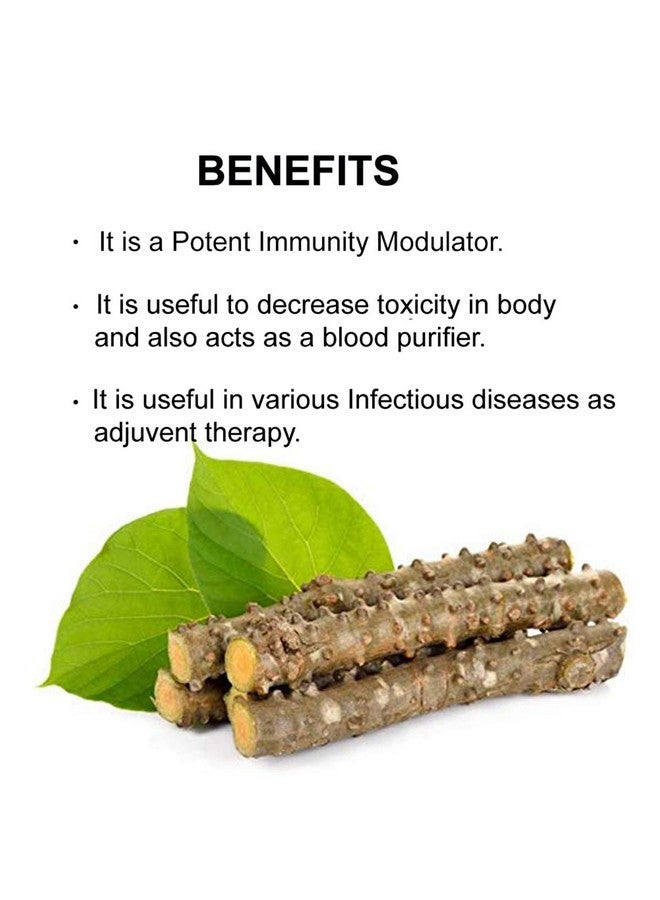 bixa BOTANICAL مسحوق جودوتشي (جيلوي/تينوسبورا كورديفوليا) 7 أونصة / 200 جرام عبوة واحدة؛ منظم ممتاز للمناعة؛ مكمل عشبي طبيعي لتقليل السمية في الجسم وتنقية الدم؛ يدعم المناعة - Image 3