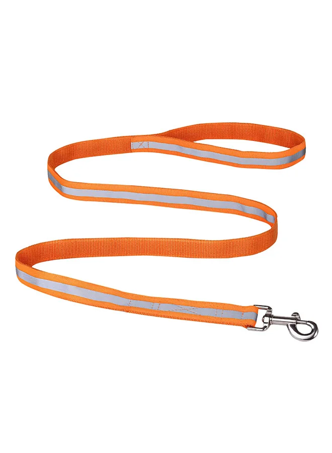 Home Box Canine Glow-in-Dark Pet Leash 150 cm
