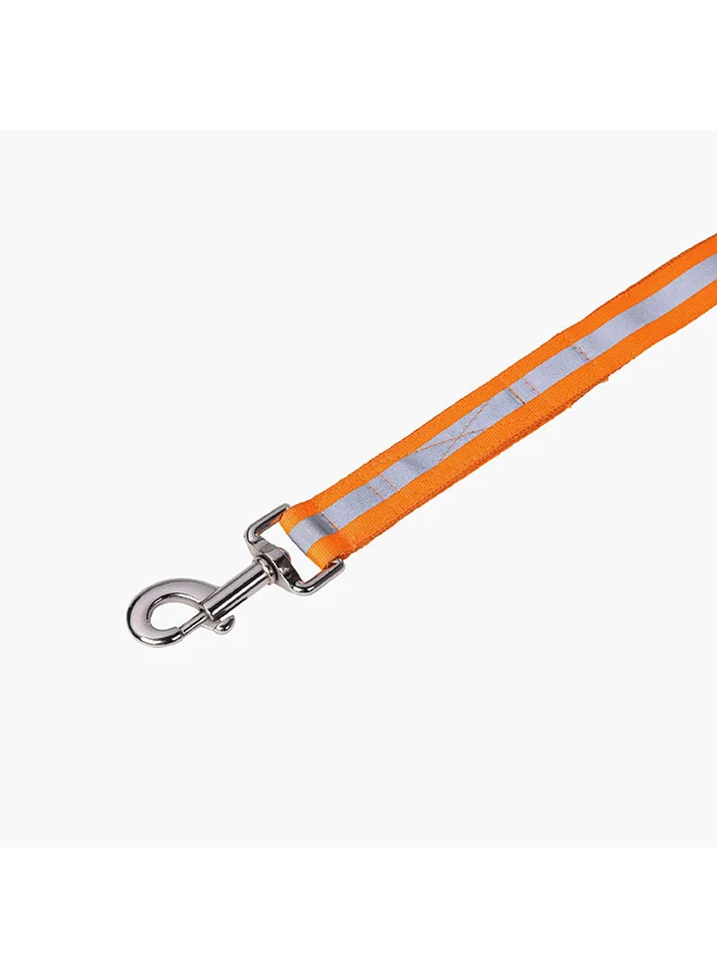Home Box Canine Glow-in-Dark Pet Leash 150 cm