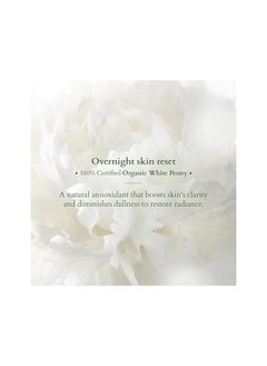 Lotus Lotus Organics+ Precious Brightening Night Creme, White  - Image 4